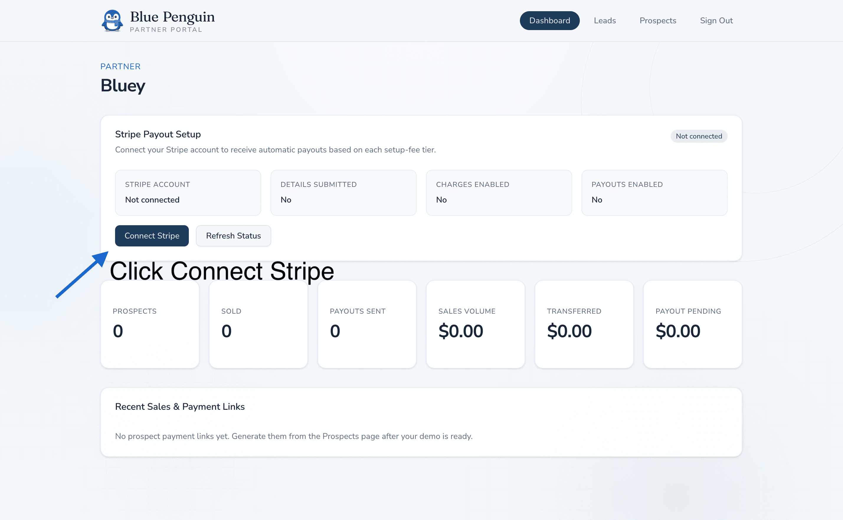 Partner dashboard with Connect Stripe button